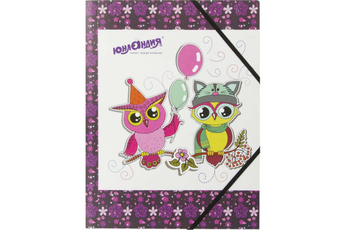 Папка на резинках 'ЮНЛАНДИЯ. Умные совы', А4 , до 300 листов , 500 мкм , цветная печать, 228048