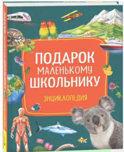 Снимок экрана 2026-05-06 092231
