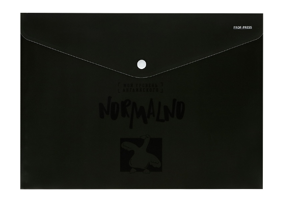 Папка-конверт на кнопке А4, 'Нормально', 180 мкм, пластиковая, ПК-2856