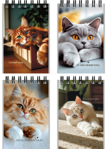 Снимок экрана 2026-04-25 125057