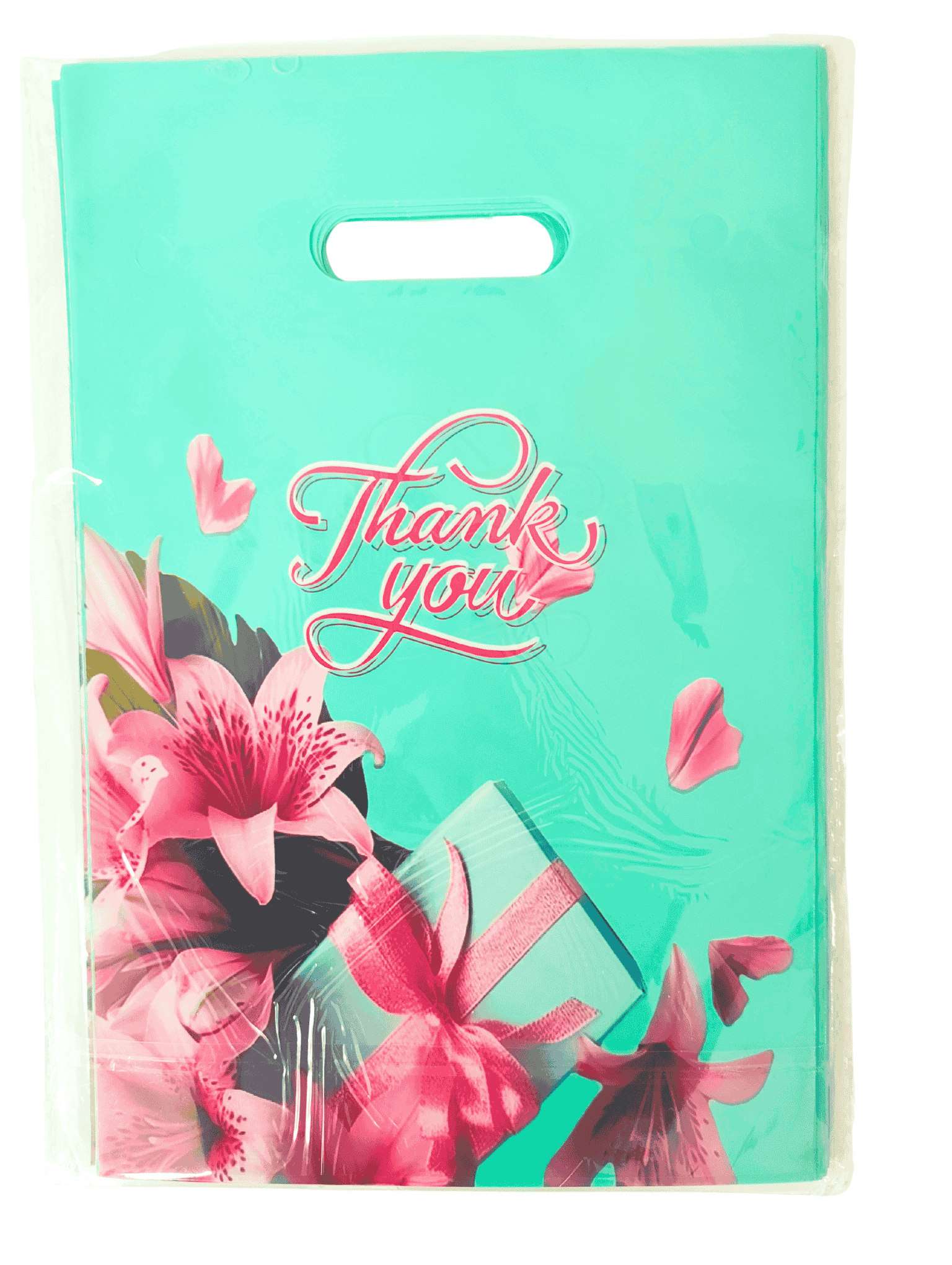 Пакет полиэтиленовый 20х30 см, дизайн ассорти, (50 шт/уп), 512-003-1