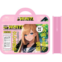 Папка детская А4 пластиковая, с ручками, АНИМЕ ШКОЛЬНИЦА 2024, ПМ-А4-25