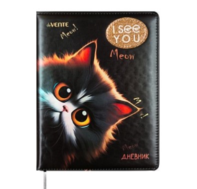 Дневник 'deVENTE. I See You' универсальный блок, 48 листов, белая бумага 80 г;м², 2020536