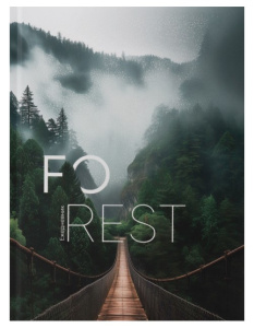 Снимок экрана 2026-04-22 110117