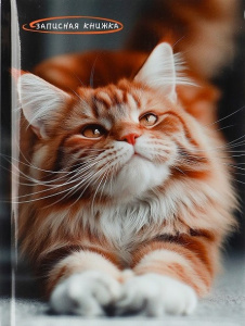 Снимок экрана 2026-04-25 124143