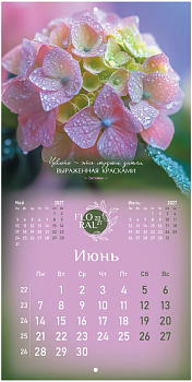 Календарь настенный перекидной 2027 г., BRAUBERG, 12 листов, 28,5х57 см, "Floral", 118425