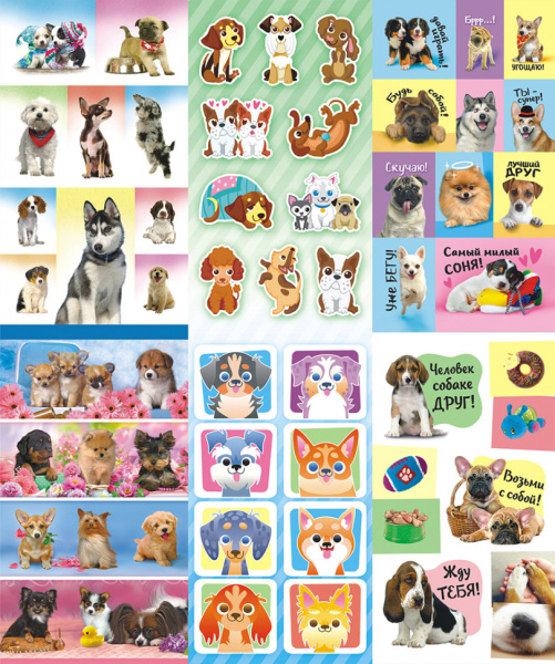 Альбом наклеек А6, ассорти, АЛНК